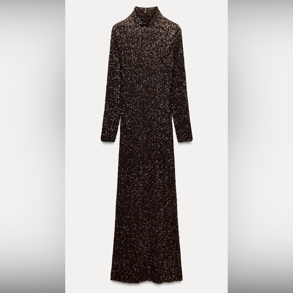 Zara Maxi Sequin dress (new with tags)